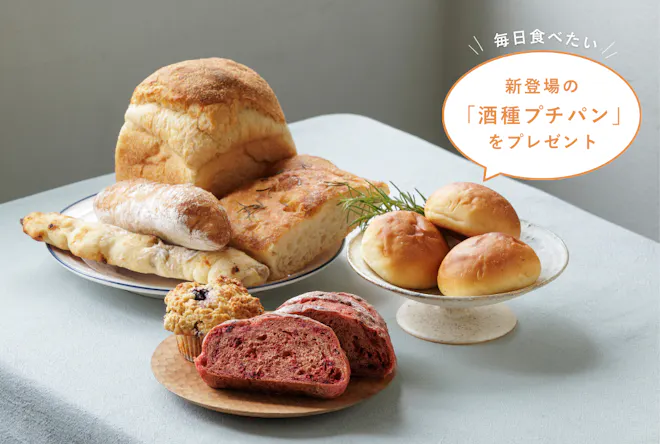 【産地直送】プレゼントつき！かまパンの季節のおまかせパンセット