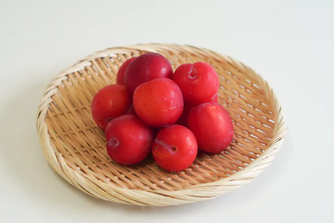 すもも・品種おまかせ 500g（特栽相当）