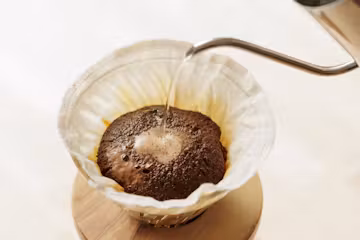 さささの和晒(わざらし)コーヒーフィルター 円すい 2枚入