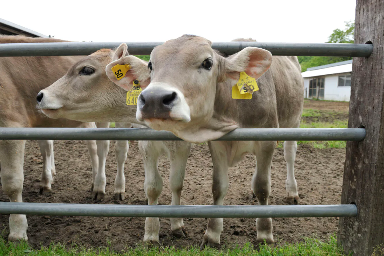 slide-3