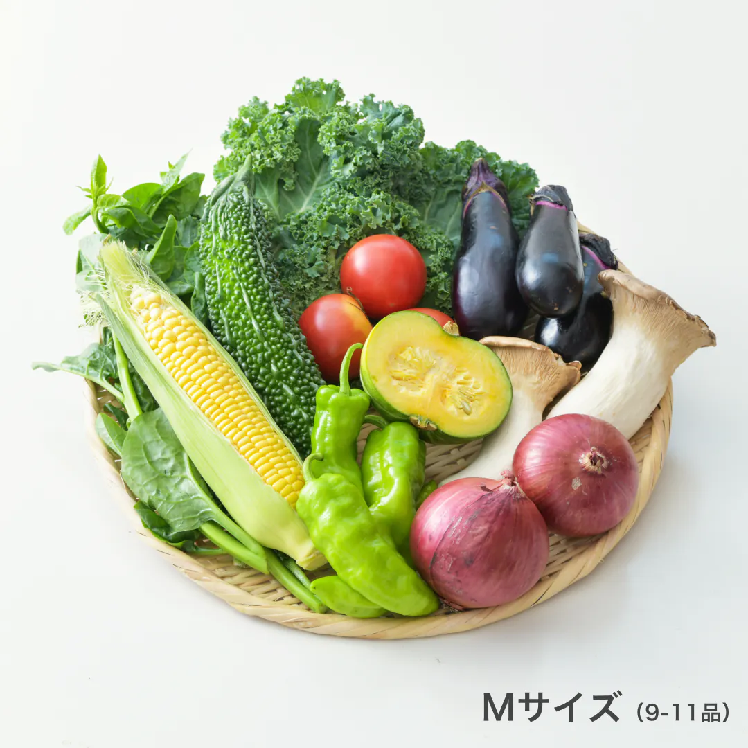 slide-2