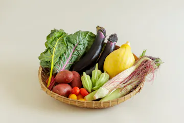 坂ノ途中 おもしろ野菜セット
