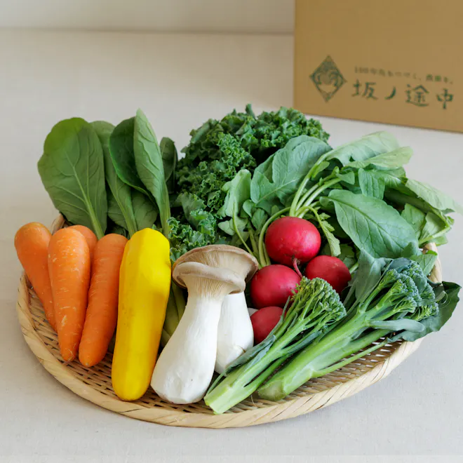 坂ノ途中 旬のお野菜セット