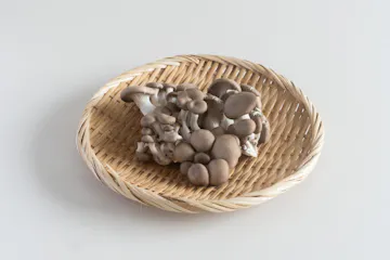 RE:ARTHのつながるひらたけ 80g