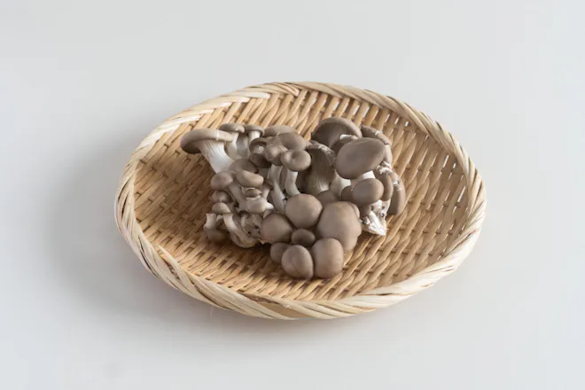 RE:ARTHのつながるひらたけ 80g