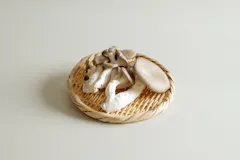 RE:ARTHのつながるひらたけ 80g