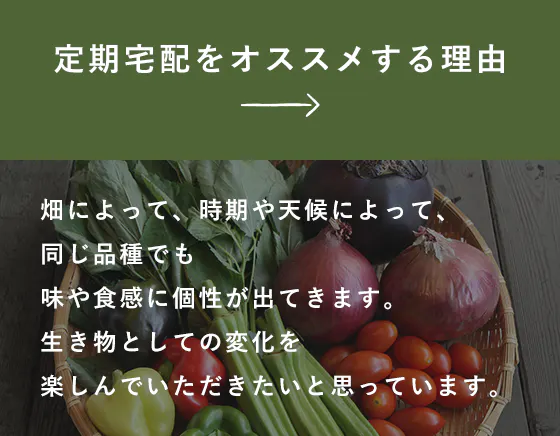 定期宅配をオススメする理由 畑によって、時期や天候によって、同じ品種でも味や食感に個性が出てきます。生き物としての変化を楽しんでいただきたいと思っています。