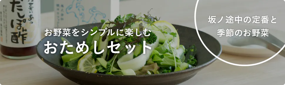 初めての方へ 野菜セットの選び方ガイド